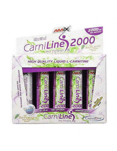 AMIX CARNILINE 2000 PROFITNESS 10X25 ML