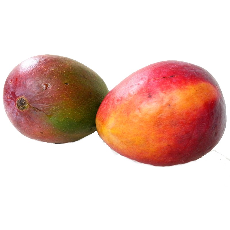 Mango Africano