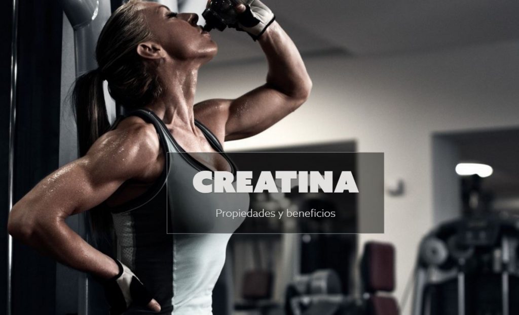CREATINA propiedades y beneficios Blog Nutrimarket