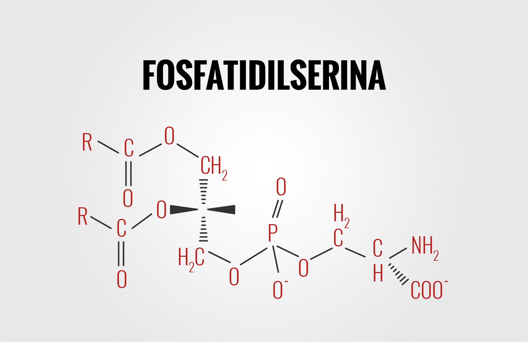 Fosfatidilserina