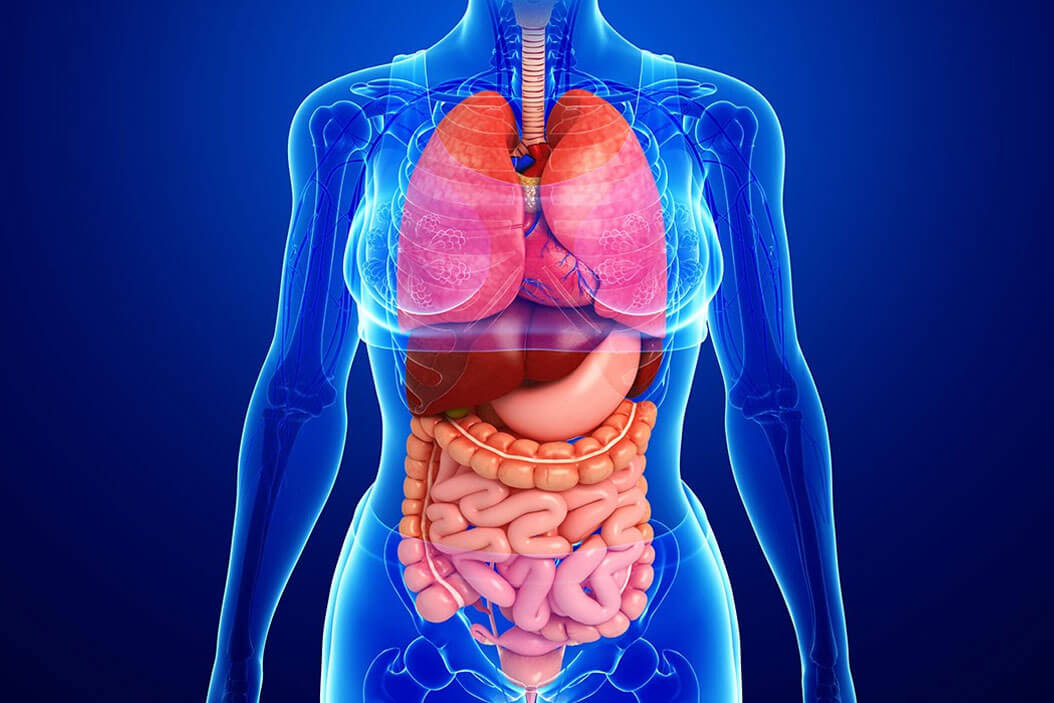 Las alteraciones del sistema gastrointestinal