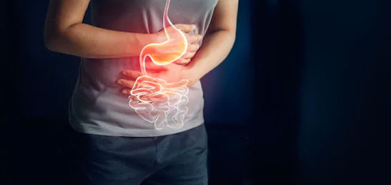 Sistema Gastrointestinal