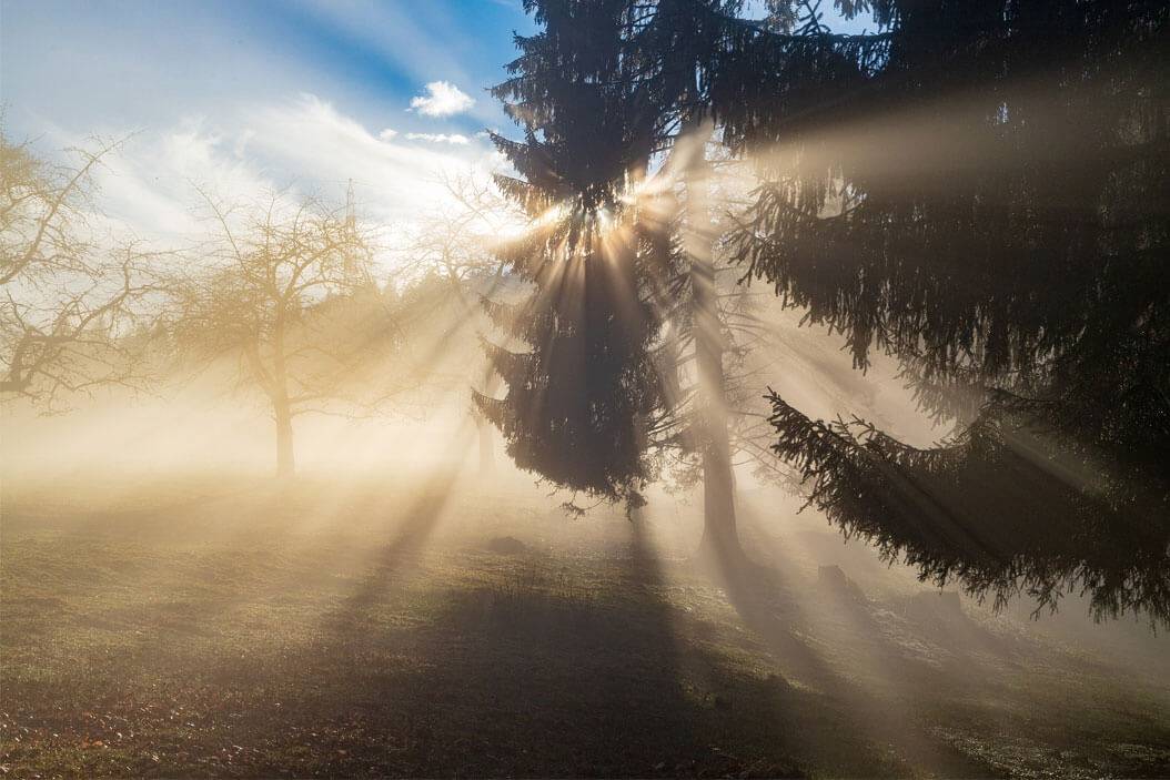 Como conseguir la Vitamina D