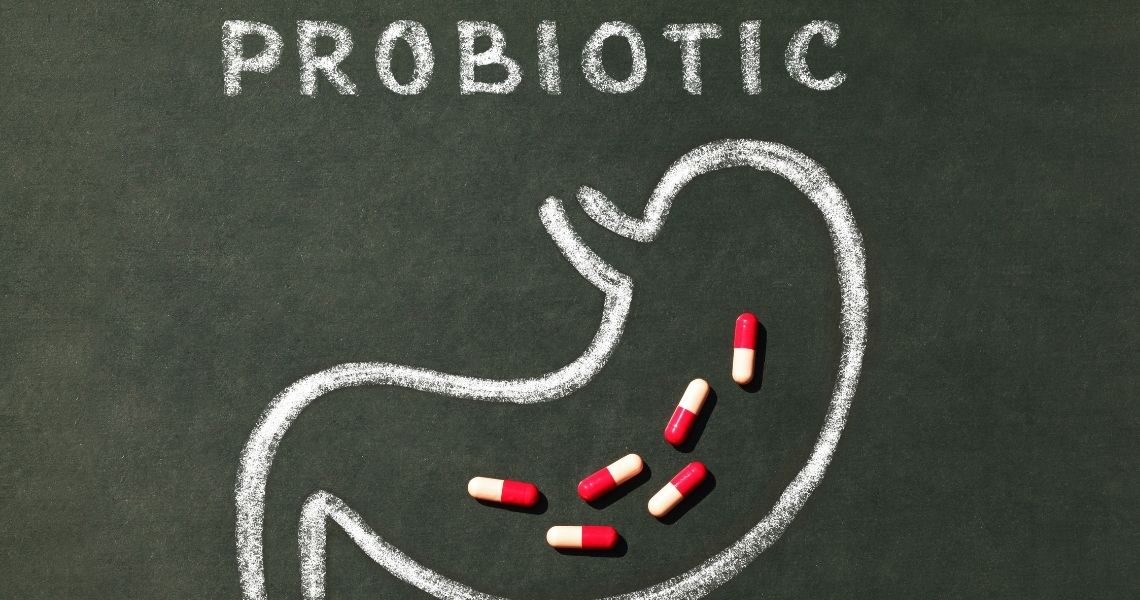 Fuentes de Probioticos y prebioticos