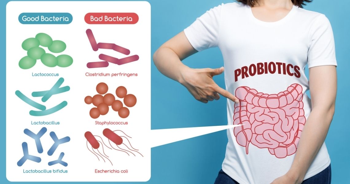 Probioticos y prebioticos