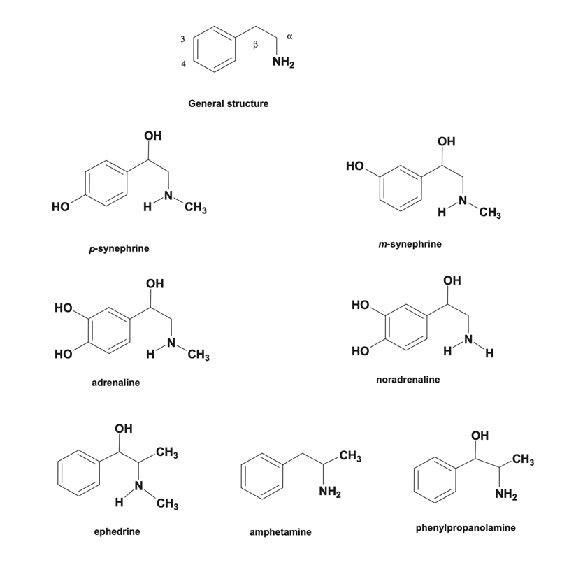 Compuestos con estructuras químicas similares con la sinefrina