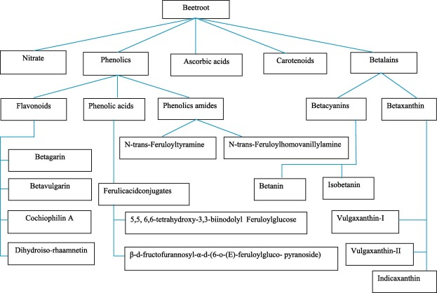 Diferentes componentes bioactivos que otorgan beneficios más allá de los nitratos. 