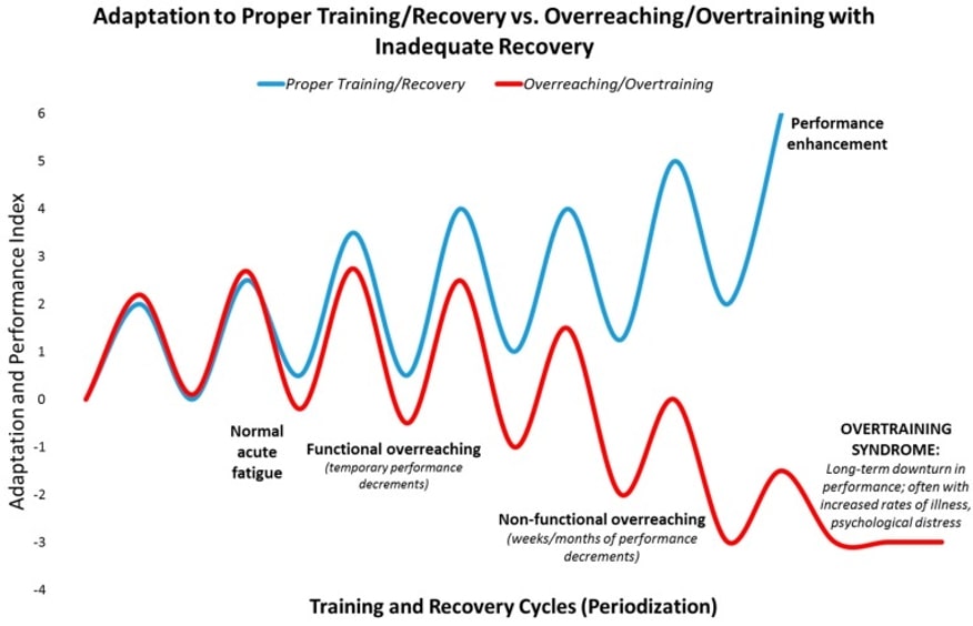 Adaptación al entrenamiento