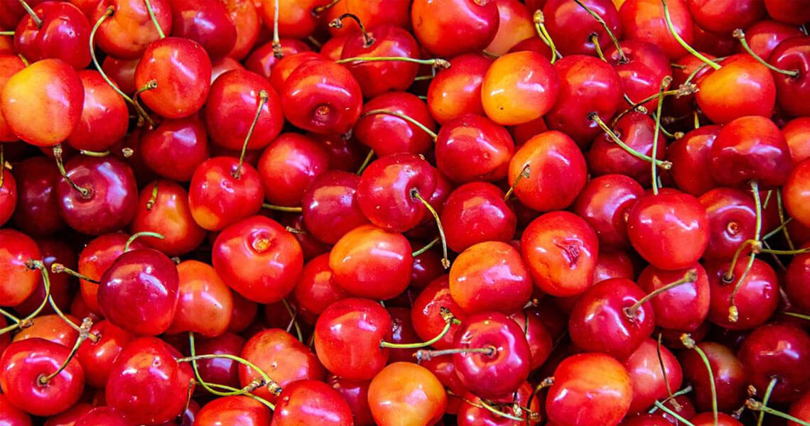 Cerezas acidas