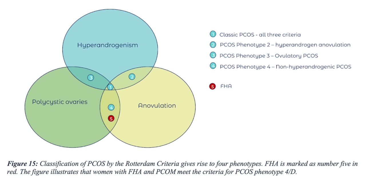 Fig. 3 Clasificación de los distintos tipos de SOP. Amenorrea hipotalámica funcional (FHA) es marcada como número 5 ya que esta también puede ajustarse a los criterios diagnostico del fenotipo 4/D en el caso de que coexista con la morfología poliquistica (PCOM) 