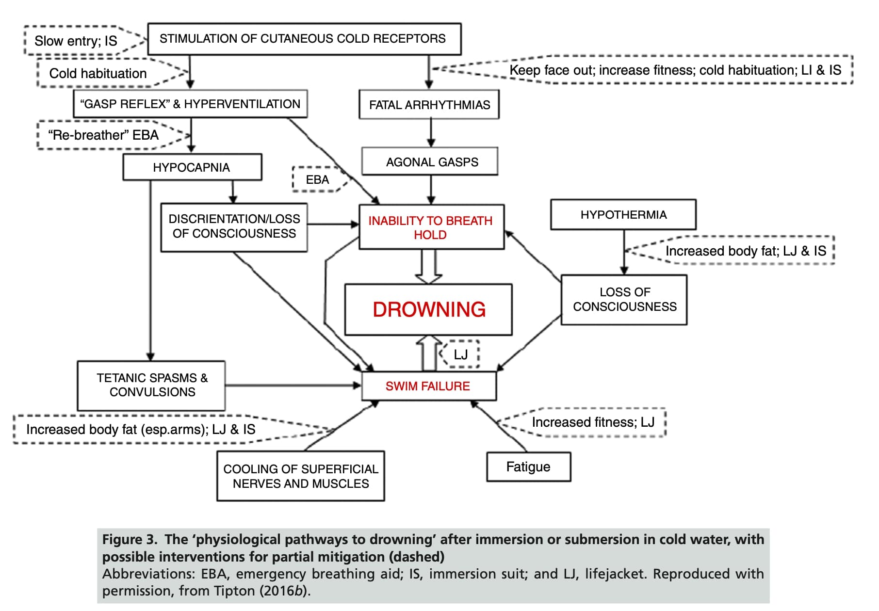 Fig 5 Mecanismos fisiológicos y causas del ahogamiento tras la inmersión en agua fría