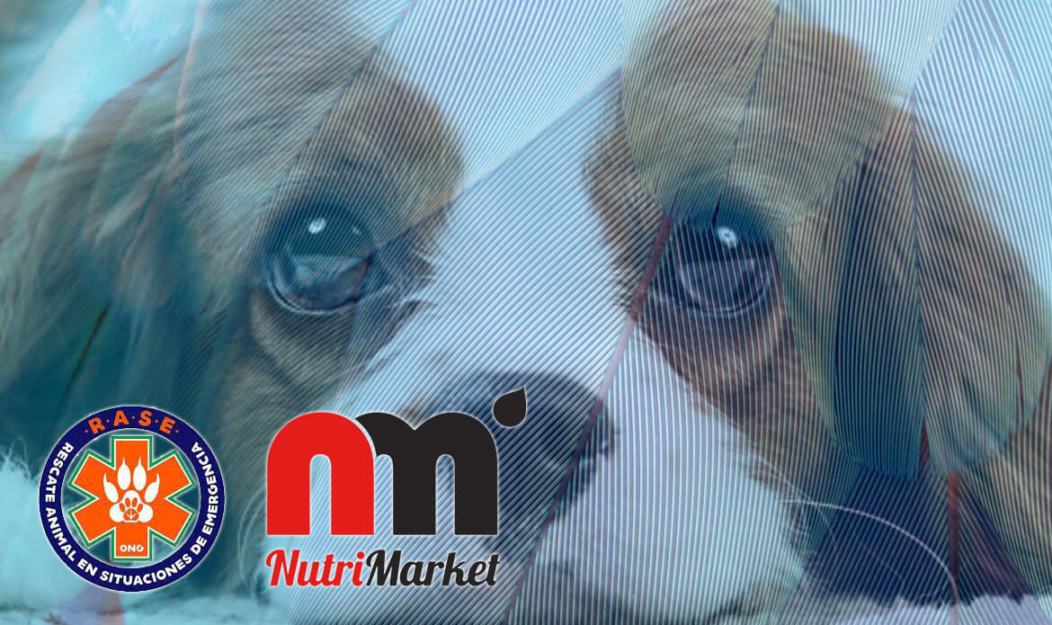 Colaboracion Nutrimarket RASE