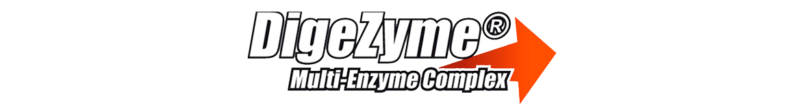 Digezyme